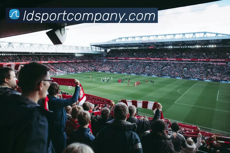 App Interface Preview